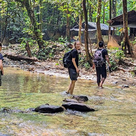 Thejungleguide - Lodges & Treks Букит Лаванг Екстериор снимка
