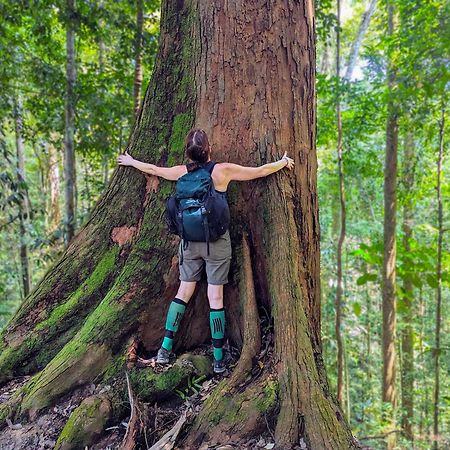 Thejungleguide - Lodges & Treks Букит Лаванг Екстериор снимка