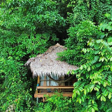 Thejungleguide - Lodges & Treks Букит Лаванг Екстериор снимка
