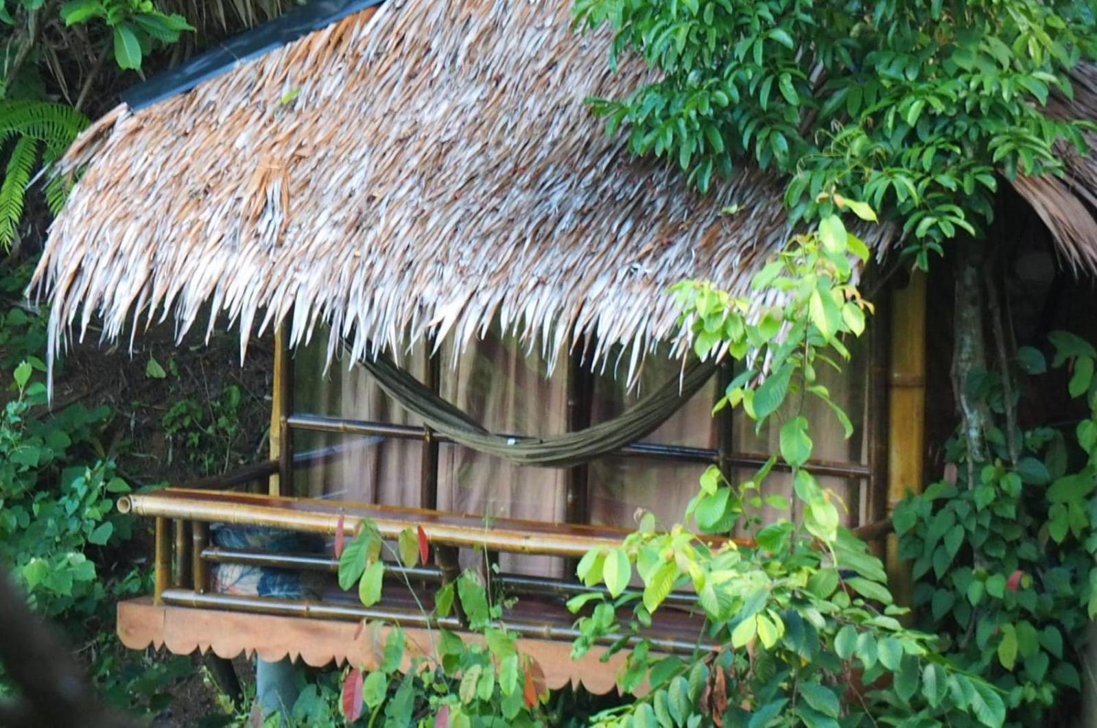 Thejungleguide - Lodges & Treks Букит Лаванг Екстериор снимка