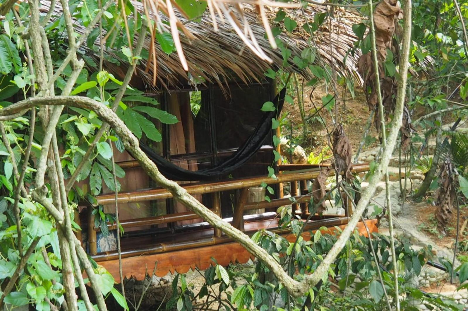 Thejungleguide - Lodges & Treks Букит Лаванг Екстериор снимка