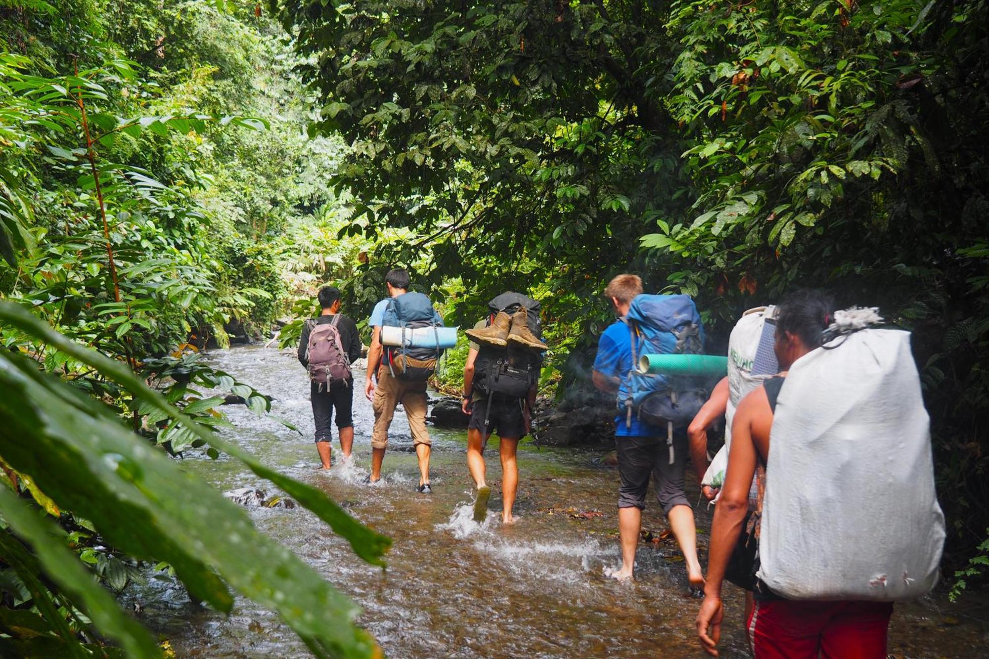 Thejungleguide - Lodges & Treks Букит Лаванг Екстериор снимка