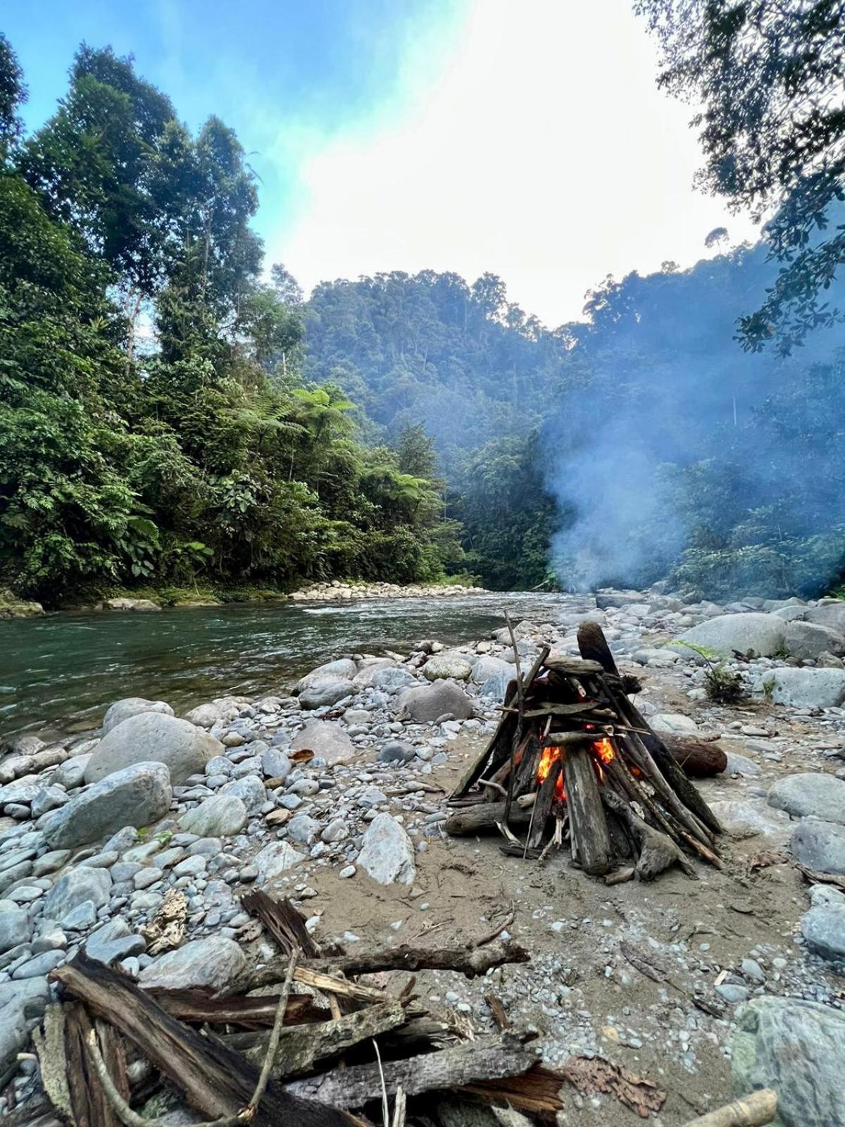 Thejungleguide - Lodges & Treks Букит Лаванг Екстериор снимка