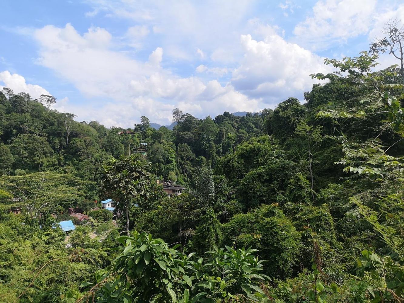 Thejungleguide - Lodges & Treks Букит Лаванг Екстериор снимка
