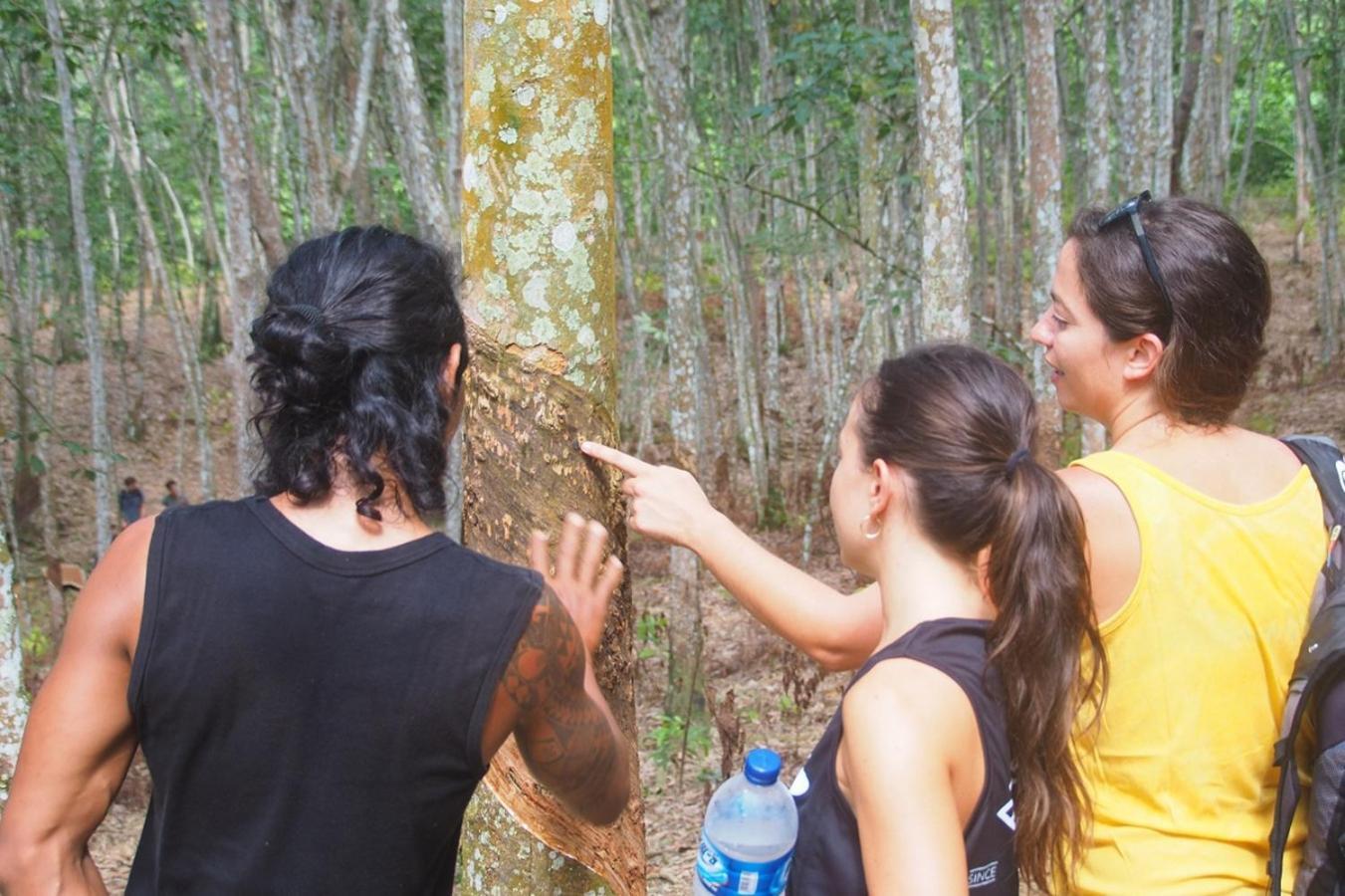 Thejungleguide - Lodges & Treks Букит Лаванг Екстериор снимка