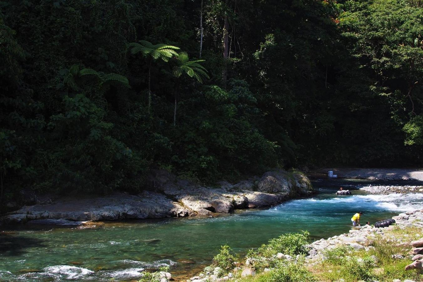 Thejungleguide - Lodges & Treks Букит Лаванг Екстериор снимка