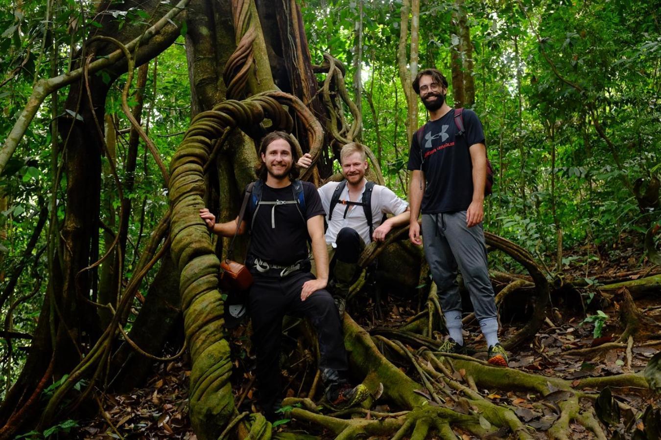 Thejungleguide - Lodges & Treks Букит Лаванг Екстериор снимка