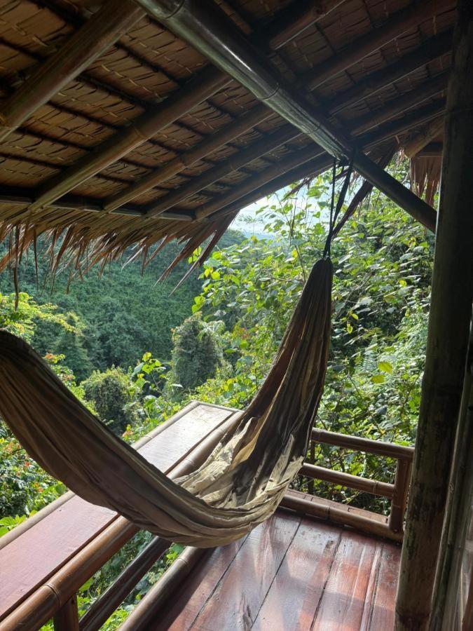 Thejungleguide - Lodges & Treks Букит Лаванг Екстериор снимка