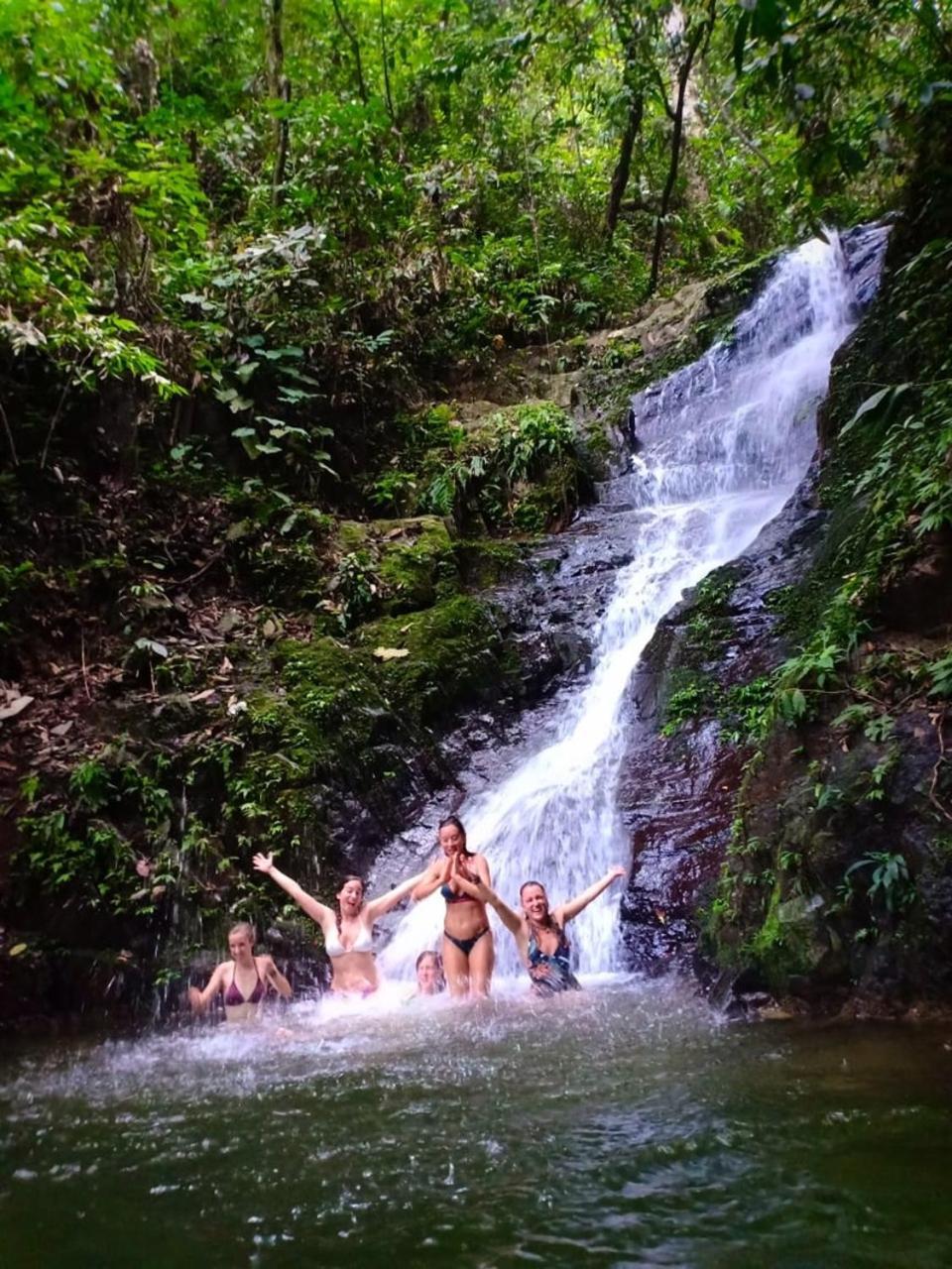 Thejungleguide - Lodges & Treks Букит Лаванг Екстериор снимка