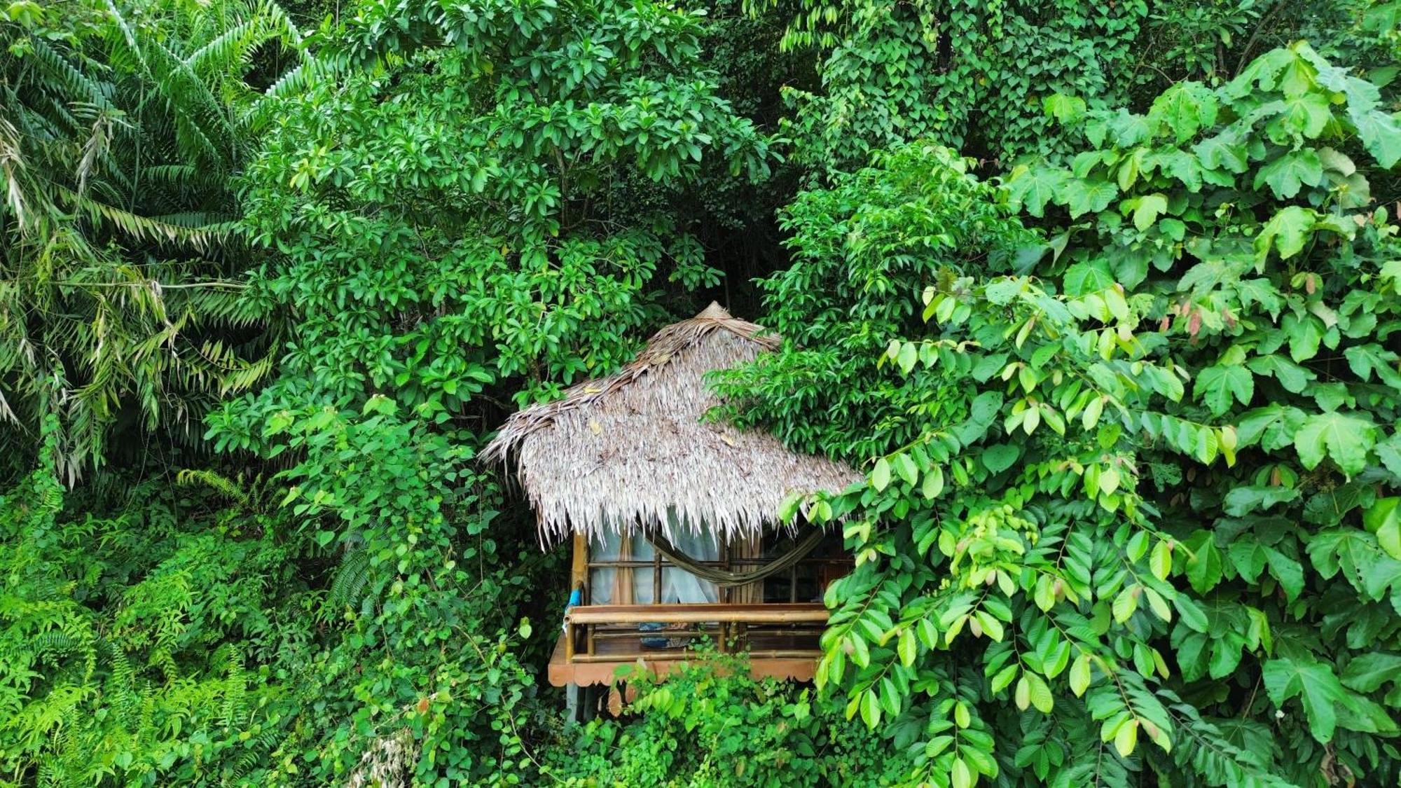 Thejungleguide - Lodges & Treks Букит Лаванг Екстериор снимка