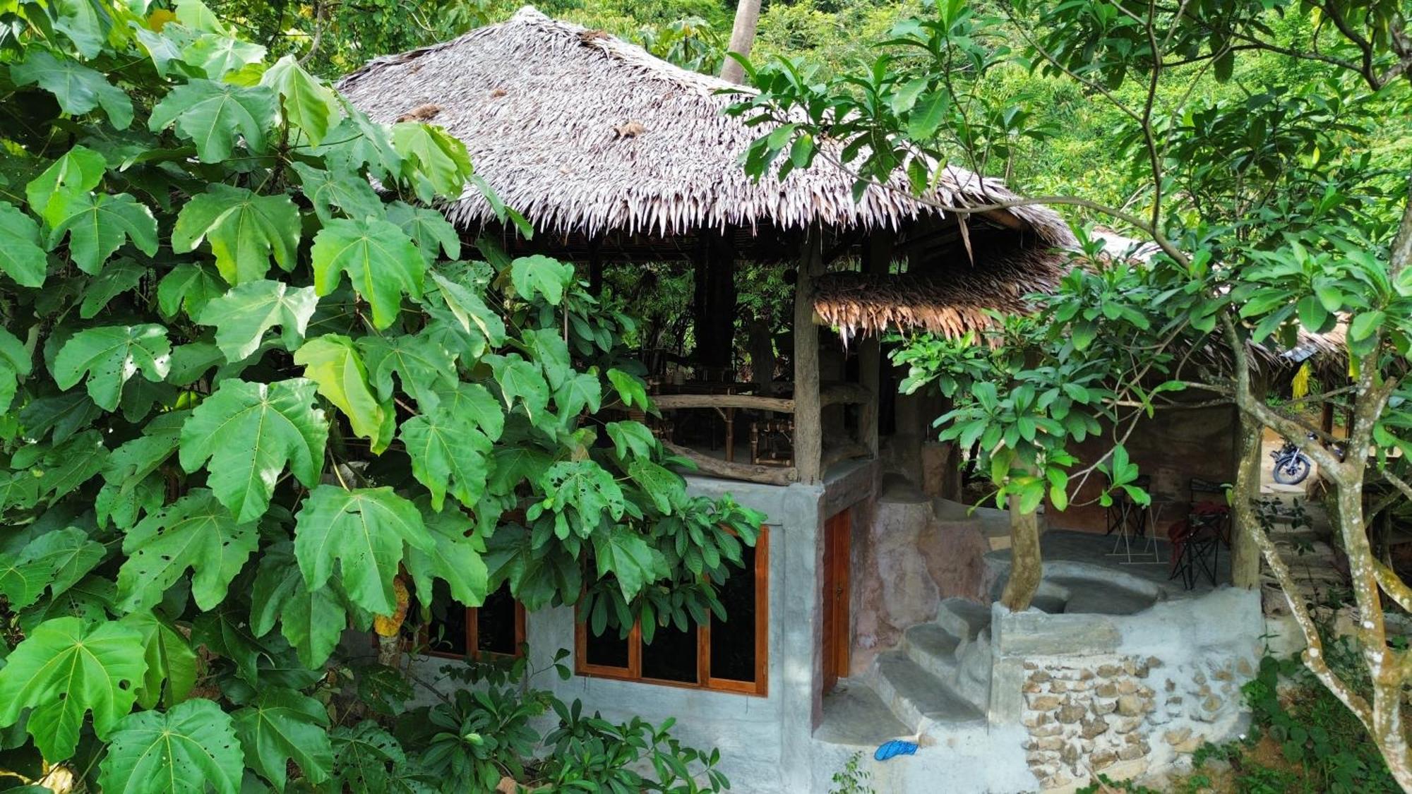 Thejungleguide - Lodges & Treks Букит Лаванг Екстериор снимка